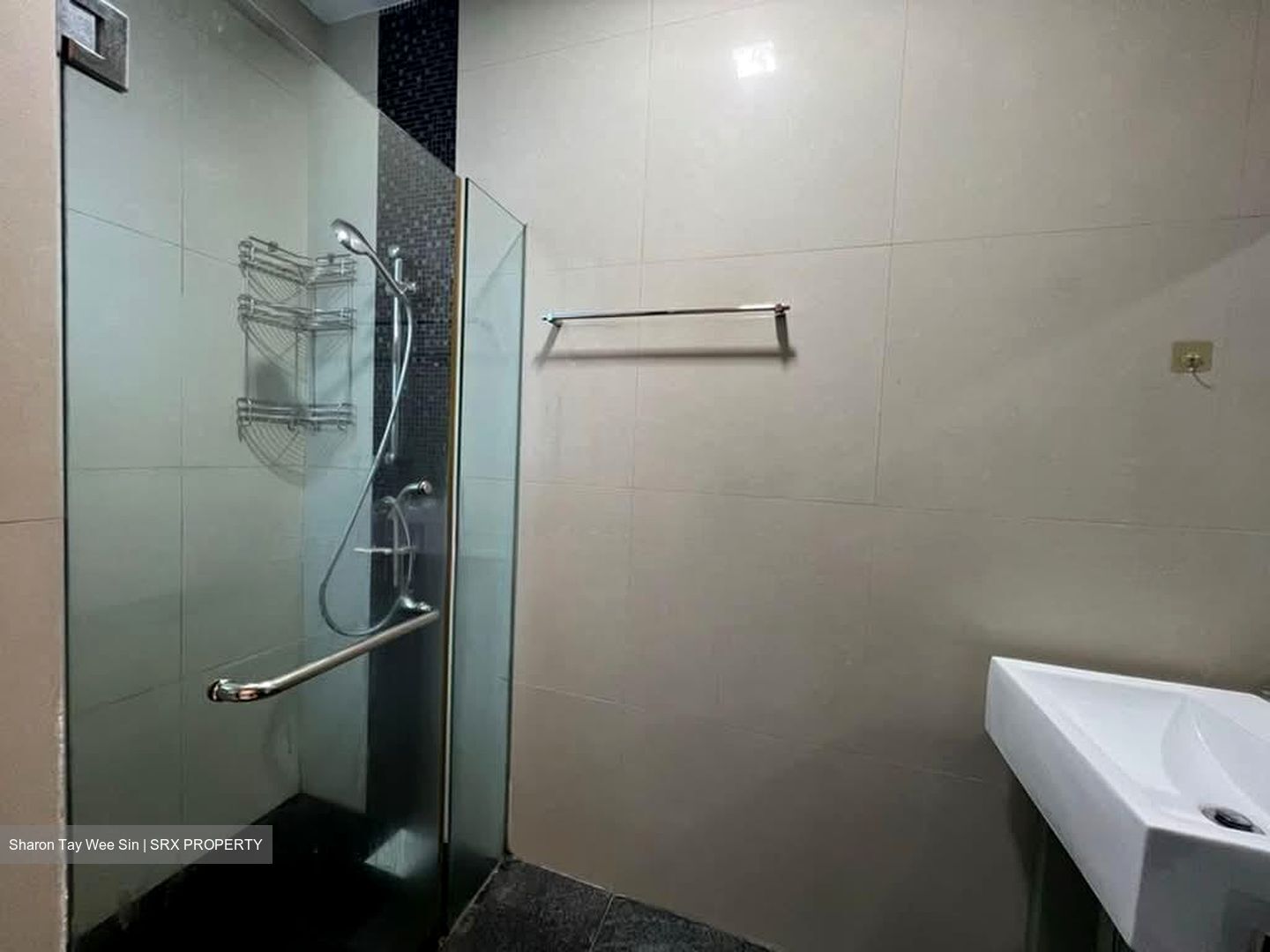 Haig Residences (D15), Apartment #593540181